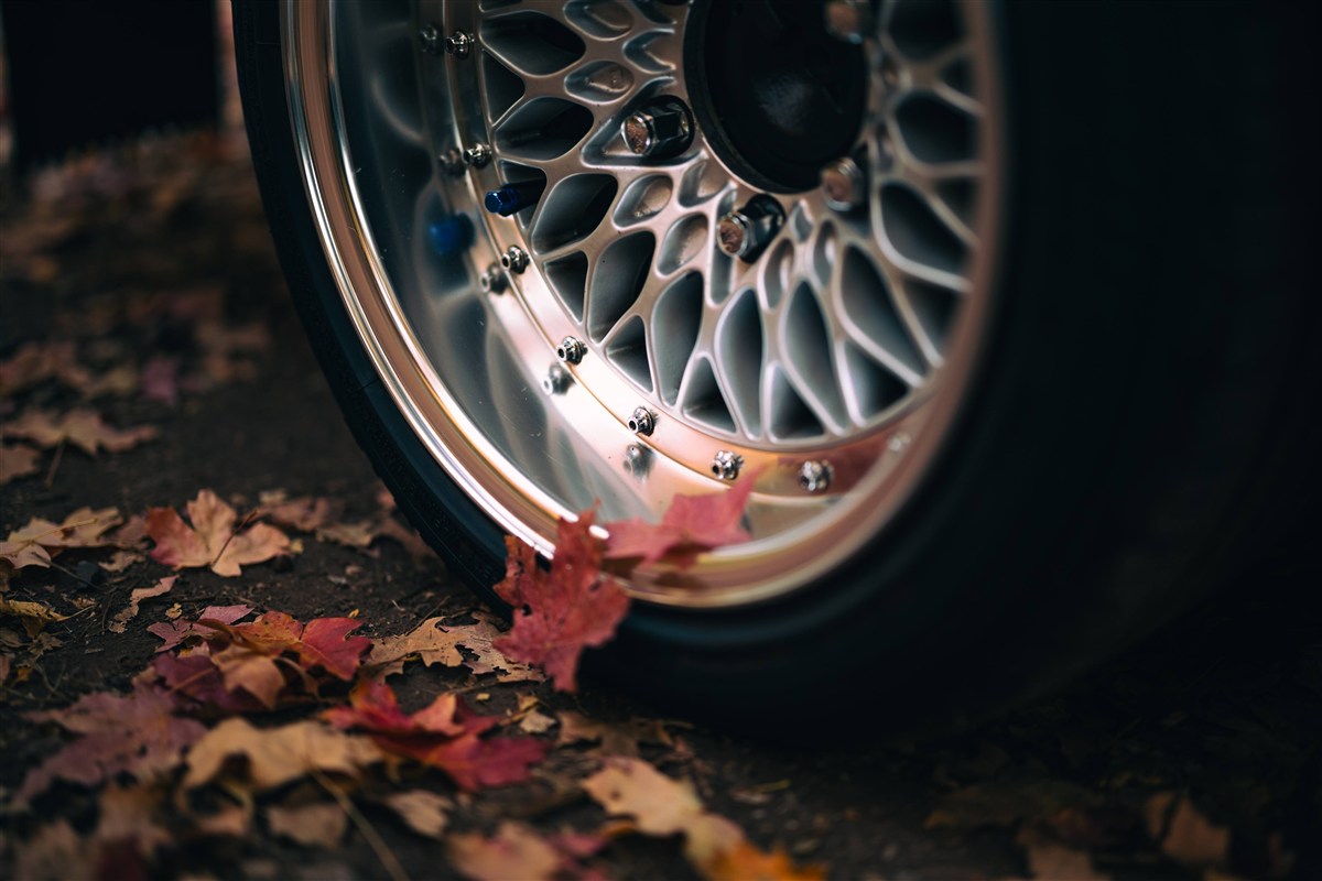 Happy Camper photo 5