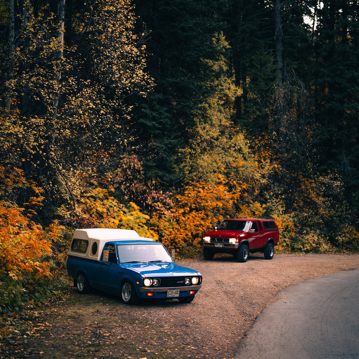 Happy Camper photo 19