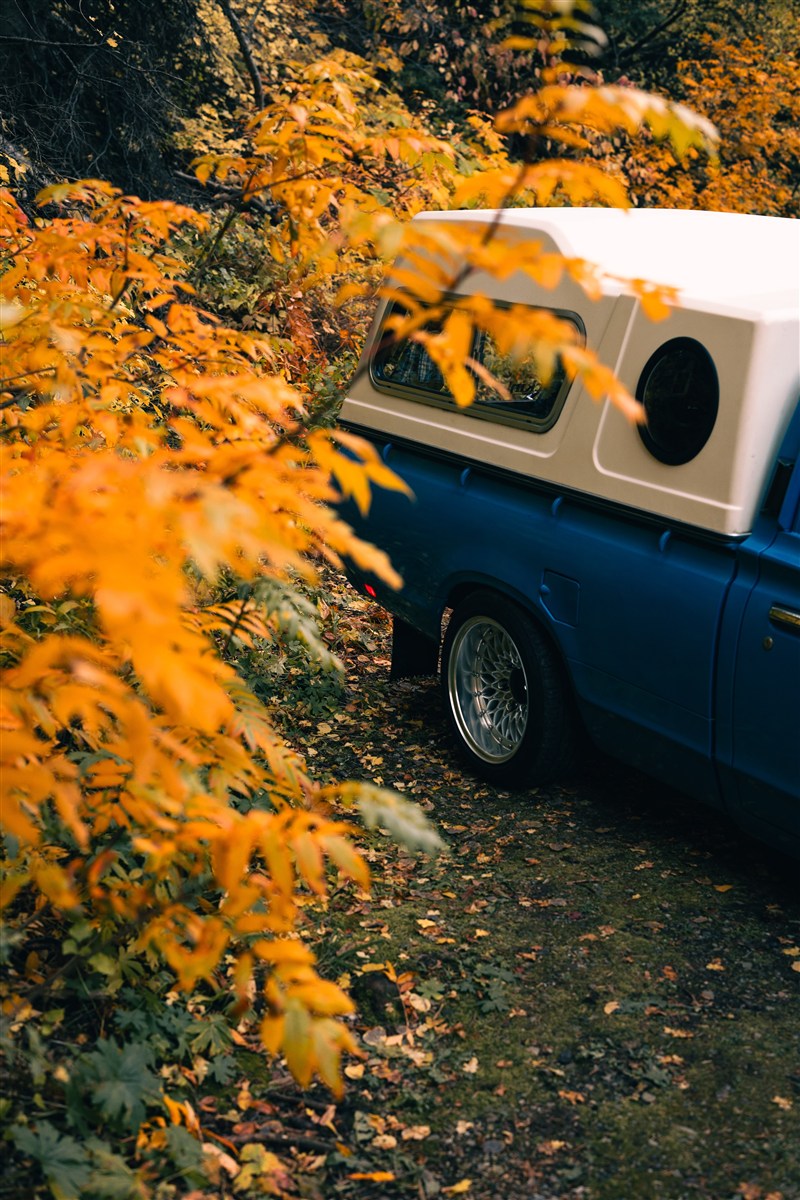 Happy Camper photo 21