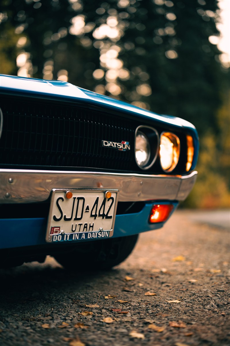 Happy Camper photo 28