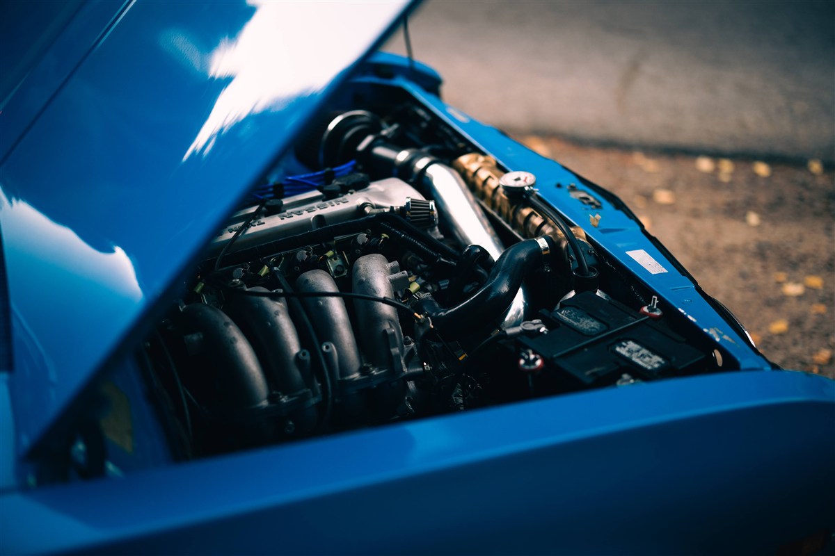 Happy Camper photo 39