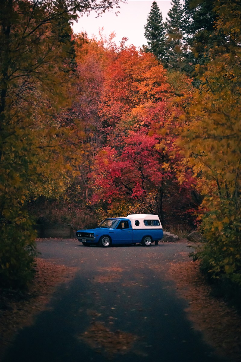 Happy Camper photo 44